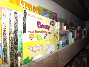 Bookshelves made by daddy.  Love.
