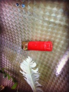 What's a nature walk without a shotgun shell?