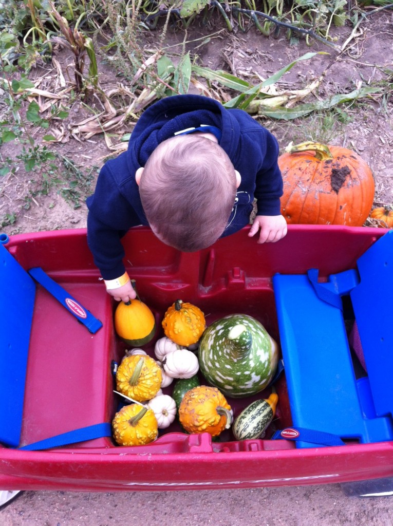 In charge of the gourds...