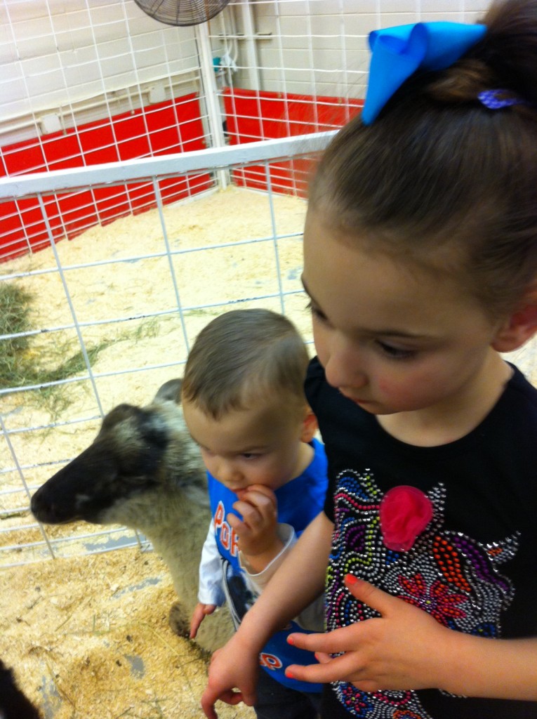Checkin' out the petting zoo