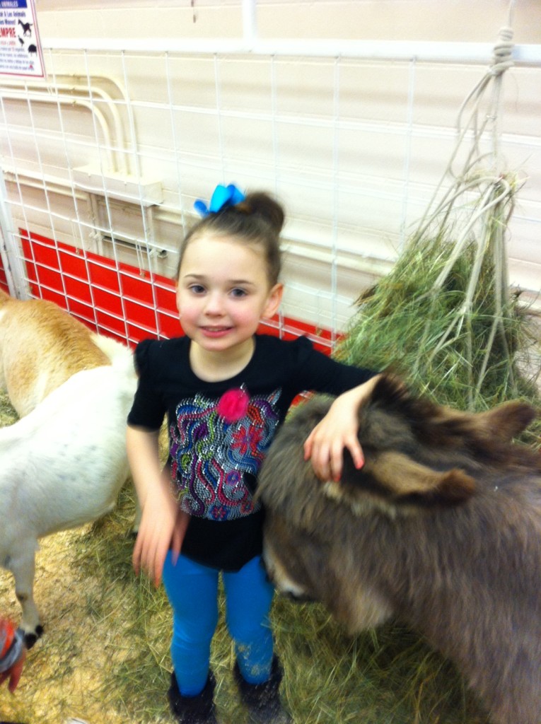 Sawyer thought this little donkey was pretty cute...